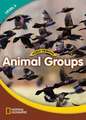 World Windows Intl 3 Animal Groups Sb