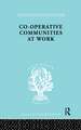 Co-Operative Communities at Work