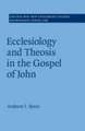 Ecclesiology and Theosis in the Gospel of John