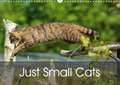 Just Small Cats (Wall Calendar 2020 DIN A3 Landscape)