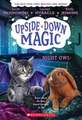 Night Owl (Upside-Down Magic #8)