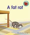 George, P: Fat rat