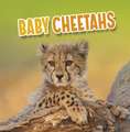 RUSTAD MARTHA E H: BABY CHEETAHS