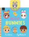 Hello Bunnies: Hello Bunnies: Say "Hello" to bouncing bunnies in this push, pull and slide story – perfect for Easter!