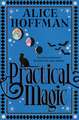 Practical Magic: The bestselling novel that inspired the iconic film about sisterhood, love and magic