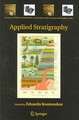 Applied Stratigraphy