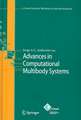 Advances in Computational Multibody Systems