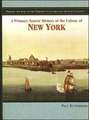 A Primary Source History of the Colony of New York