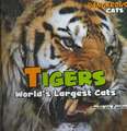 Tigers: World's Largest Cats