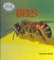 Bees