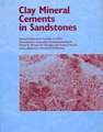 Clay Mineral Cements in Sandstones – Special Publication 34 of the IAS