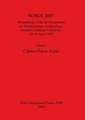 Soma 2007: Proceedings of the XI Symposium on Mediterranean Archaeology