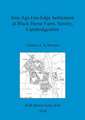 Iron Age Fen-Edge Settlement at Black Horse Farm, Sawtry, Cambridgeshire