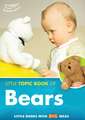 The Little Topic Book of Bears