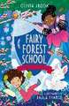 Brook, O: Fairy Forest School: The Snowflake Charm