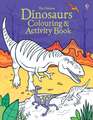 Dinosaurs Colouring and Activity book