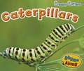 Caterpillars