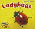 Ladybugs