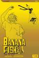 Banana Fish, Vol. 19