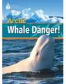 Arctic Whale Danger!