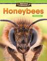 Amazing Animals: Honeybees: Place Value