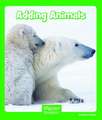 Adding Animals