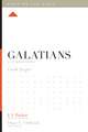 Galatians – A 12–Week Study