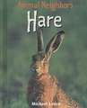 Hare