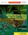 Intrathecal Drug Delivery for Pain and Spasticity: Volume 2: A Volume in the Interventional and Neuromodulatory Techniques for Pain Management Series