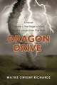 Dragon Drive Volume I