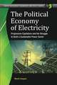 The Political Economy of Electricity: Progressive Capitalism and the Struggle to Build a Sustainable Power Sector