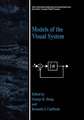 Models of the Visual System