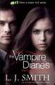 The Vampire Diaries The Fury