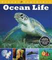 Calver, P: Visual Explorers: Ocean Life