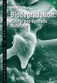 Biodegradation: Natural and Synthetic Materials