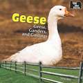 Geese: Geese, Ganders, and Goslings