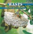 Wasps: Nest Builders