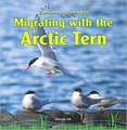 Migrating with the Arctic Tern