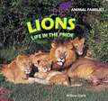 Lions: Life in the Pride