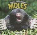 Moles