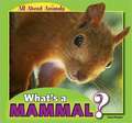 What's a Mammal?