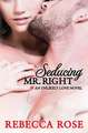 Seducing Mr. Right: An Unlikely Love Novel