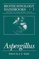 Aspergillus