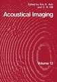 Acoustical Imaging