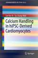 Calcium Handling in hiPSC-Derived Cardiomyocytes