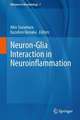 Neuron-Glia Interaction in Neuroinflammation