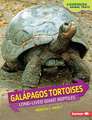 Galpagos Tortoises: Long-Lived Giant Reptiles