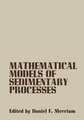 Mathematical Models of Sedimentary Processes: An International Symposium