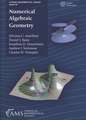 Numerical Algebraic Geometry