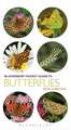 Pocket Guide to Butterflies